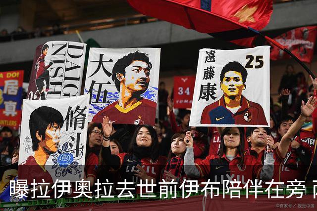 曝拉伊奥拉去世前伊布陪伴在旁 两人合作多年
